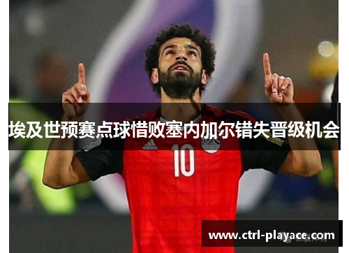 埃及世预赛点球惜败塞内加尔错失晋级机会 埃及世预赛点球惜败塞内加尔错失晋级机会