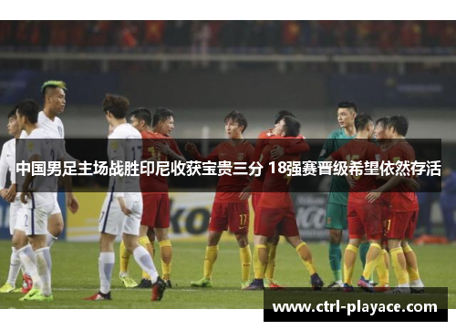 中国男足主场战胜印尼收获宝贵三分 18强赛晋级希望依然存活 中国男足主场战胜印尼收获宝贵三分 18强赛晋级希望依然存活