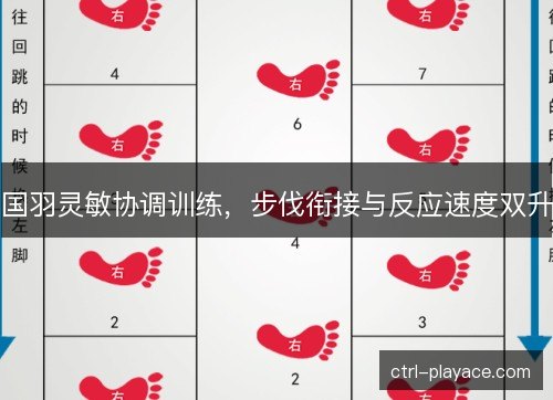 国羽灵敏协调训练，步伐衔接与反应速度双升